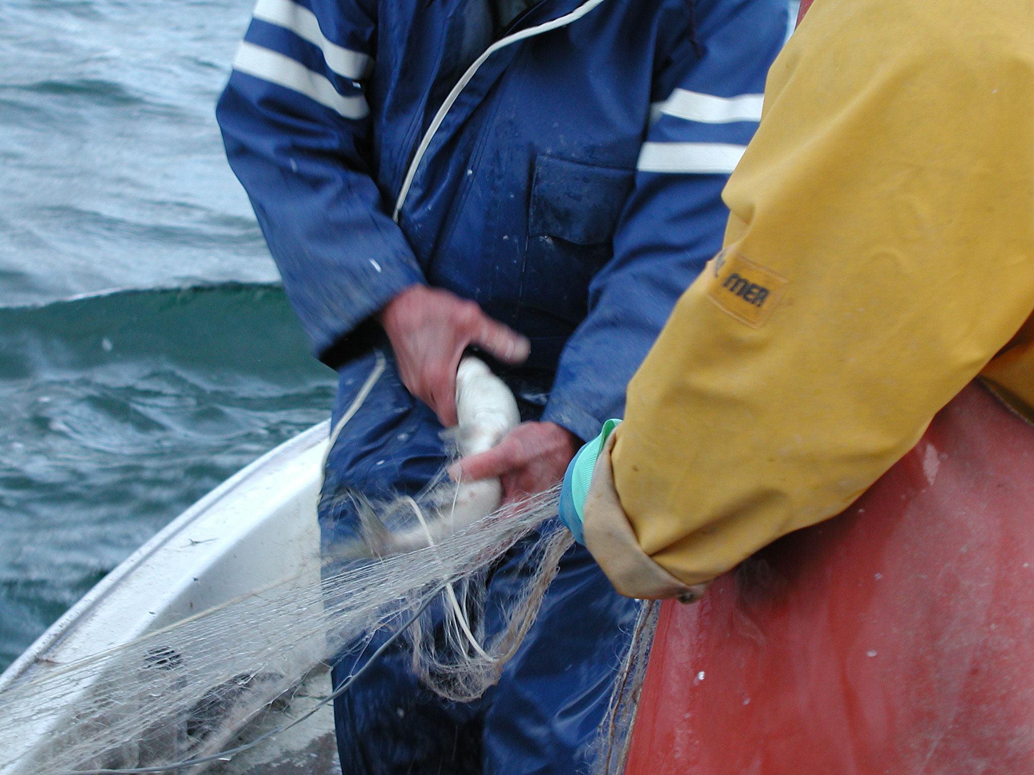Seltenes Bild: In der Regel arbeiten  Berufsfischer heute allein auf dem Boot.
(Studer/fair-fish.net)