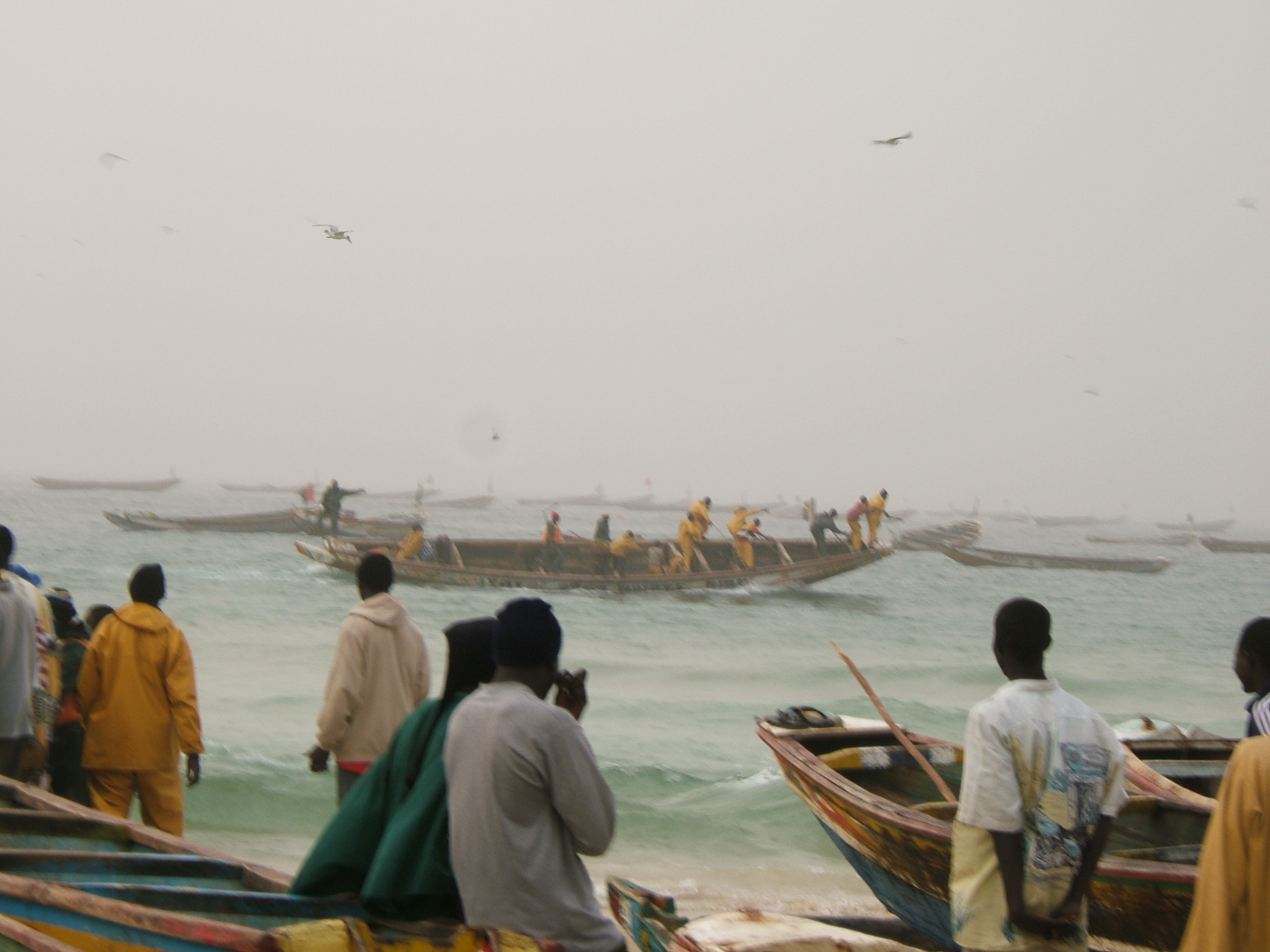 Szene vor dem Fischerhafen von Kayar, Senegal (Foto: Studer/fair-fish)